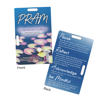 CG 500 - PRAM Card
