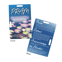 CG 500 - PRAM Card
